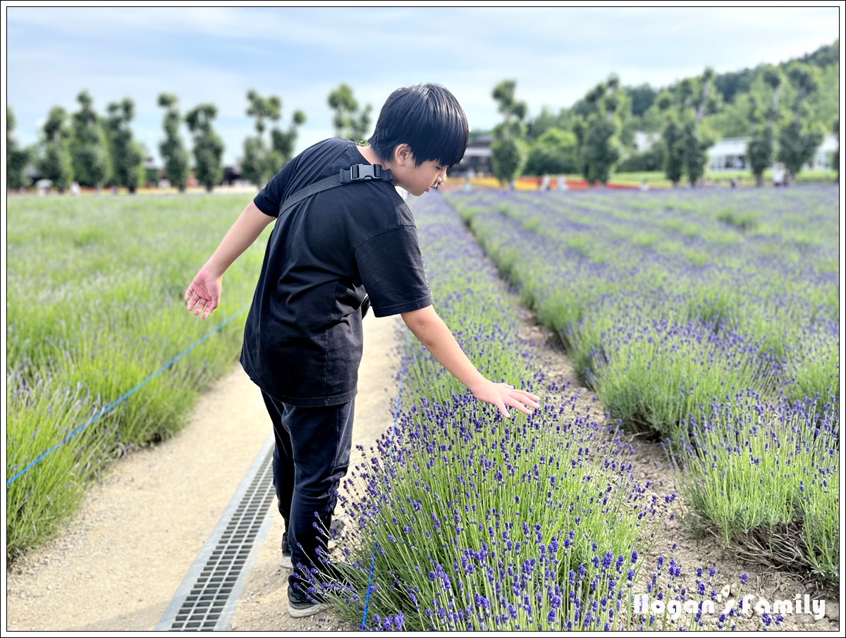 富田農場