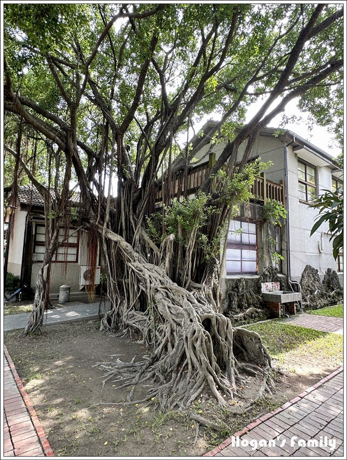 安平樹屋